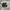 ADIDAS ADIMATIC x NEIGHBORHOOD photo 1