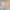 Morikei Japanese Alt Fashion Set Top & Dress photo 7
