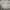 Morikei Japanese Alt Fashion Set Top & Dress photo 5