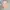 Morikei Japanese Alt Fashion Set Top & Dress photo 6
