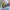 Avant Garde Casual Hat Wanita multicolor photo 5