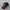 Luxury Lolita Hat Wanita black tan photo 2