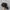 Luxury Lolita Hat Wanita black tan photo 4