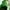 Adidas Handball Spezial Green Pink Spark photo 7