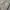 Baggy rare long pants vintage y2k strip zipper three wideleg photo 10