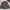 TOPTEN PUFFER JACKET