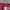 KNITWEAR GRADIENT RED photo 6