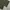 Alma Design JPN Fatigue longpants olive green, Loose Fit photo 8