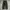 Alma Design JPN Fatigue longpants olive green, Loose Fit photo 6