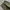 Tress Mart Fatigue longpants olive green, Loose Fit photo 7