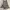 Y2K Goth Dark Coquette Set of 3pc photo 2