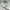 Signature Fatigue longpants white jeans, Loose Fit photo 5