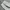 Full carpenter double knee longpants white, Regular

Straigh photo 4