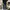 Comme Le Vent Homme Jeans Stretch photo 2