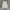 Morikei Japanese Alt Fashion Set Top & Dress photo 6