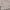 Morikei Japanese Alt Fashion Set Top & Dress photo 5