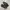 Adidas Superstar Originals Classic Leather Triple Black photo 3