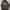 The Berrics Shoot All Skaters skateboard Los angeles photo 1