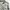 ZARA Luxury Blouse Wanita multicolor photo 5
