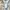 ZARA Luxury Blouse Wanita multicolor photo 7
