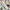 ZARA Luxury Blouse Wanita multicolor photo 8