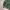 Vintage stadium west wind green jacket photo 4