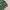 Vintage stadium west wind green jacket photo 3