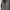 Parka Army M65 Jaket Military photo 2