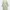 ZARA Luxury Shirt dress Wanita white green photo 3