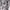 ZARA Luxury Bodycon dress Wanita multicolor silver photo 7