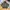 Faded Olive Green Carhartt Midweight Basic Logo Hoodie - K12