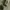 Faded Olive Green Carhartt Midweight Basic Logo Hoodie - K12 photo 5