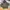 Faded Olive Green Carhartt Midweight Basic Logo Hoodie - K12