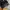 Carhartt Legacy Deluxe Work Pack Black photo 7