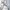 ZARA Indie Minimalist Maxi skirt Wanita white photo 6