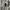 ZARA Luxury Shirt dress Wanita gold silver white gray photo 4