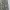 ZARA Luxury Shirt dress Wanita gold silver white gray photo 5