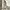 Carhartt WIP Women Armanda Pant White photo 5