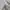 Kaos shorts Sleeve Burberry England Small Logos Monogram photo 5