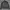 Casual Denim jacket Pria black photo 3