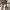 Stroller Sugar baby type SGR 32 photo 4