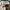 Vans Oldskool Style 36 Modernica Checker photo 6
