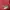 OKLAHOMA SOONERS NIKE NCAA JERSEY photo 4
