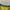 Nike Y2K Sportswear Jersey Pria green yellow photo 5