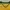 Nike Y2K Sportswear Jersey Pria green yellow photo 2