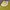 SWEATER CORDUROY CROP LIME