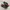 Rare Adidas Superstar Leather Black Red/Green Stripe photo 3
