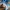 Adidas Y2K Sportswear Jersey Pria multicolor photo 6
