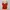 Love bonito cami tops merah photo 2