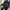 Love bonito umpsuit pendek photo 4